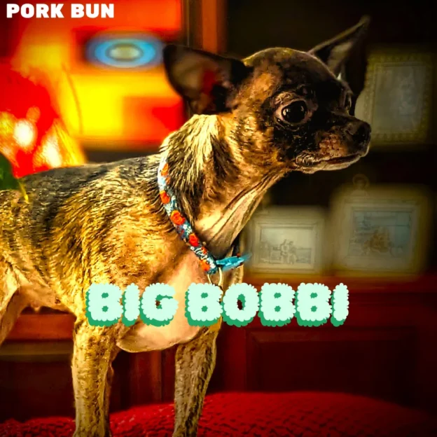 Album Review: Pork Bun’s Big Bobbi – A Sonic Journey of Chill-Hop, Ambient Fusion and Lo-Fi